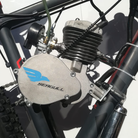 The Pioneers in Powered Bicycles and FATBIKES Seagull Powered