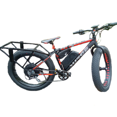 seagull electric bicycle Ecotric Mountain Bike -White The Ecotric Seagull provides a powerful and long range Ride without breaking the bank Fat Tire Seagull Motorized Bicycle