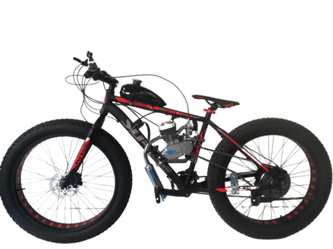 Petrol Powered Bicycles Seagull Powered