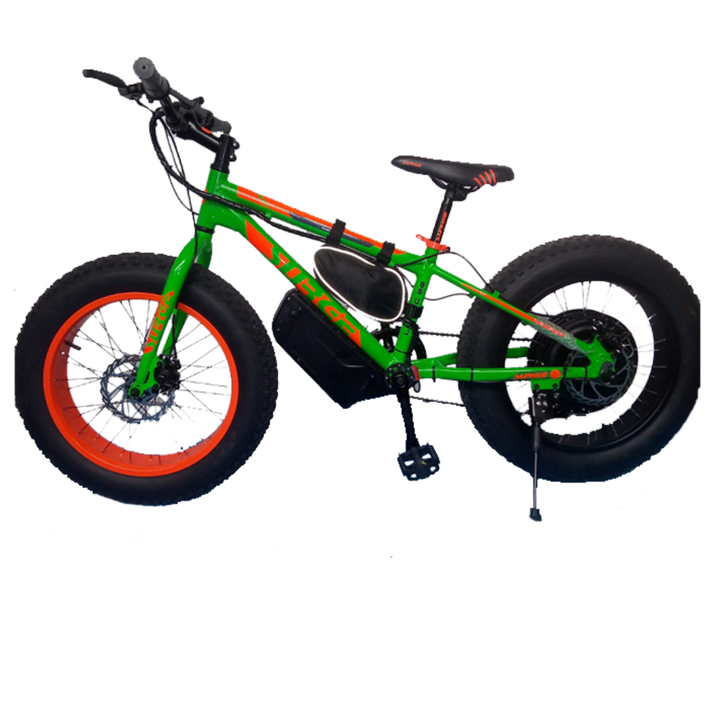 20 ebike kit shop